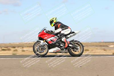 media/Nov-03-2024-TrackDaz (Sun) [[44580f4982]]/B Group/1220pm (Wheelie Bump)/